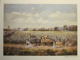 Cotton Picking  Print by Robert Rucker