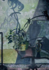 "Plant Shadows"  by Jean Rosen