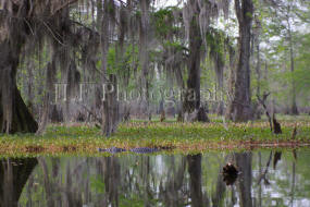 John Fuselier Photography