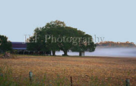 John Fuselier Photography