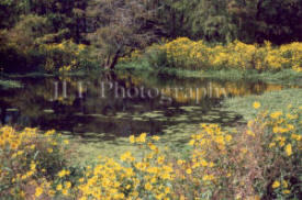 John Fuselier Photography