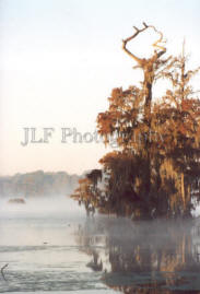 John Fuselier Photography