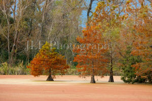 John Fuselier Photography